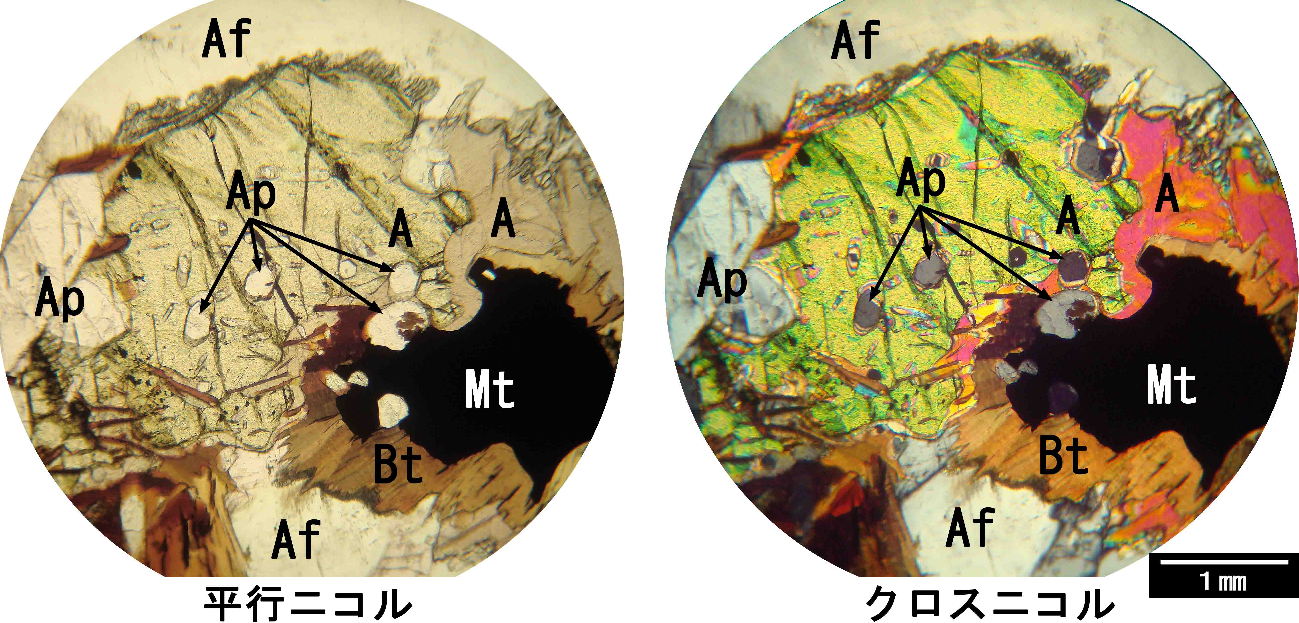 現代の凝縮系物理学 下 現代の凝縮系物理学 下 / チェイキン〈Chaikin，P．M
